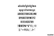 Belleau | Sans Serif Font Family, a Sans Serif Font by Pixel Supply Co. (Thumbnail 8 of 11)