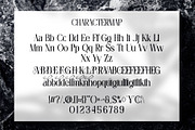 Amilado || Stylish Modern Serif Font, a Serif Font by Idea Studio (Thumbnail 9 of 10)