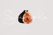 Olasthy Script, a Script Font by Prioritype Co (Thumbnail 2 of 10)
