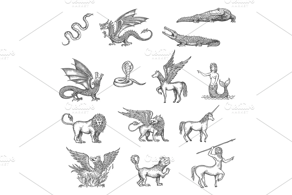Unicorn, phoenix, dragon, Pegasus, an Animal Illustration by Vector Tradition