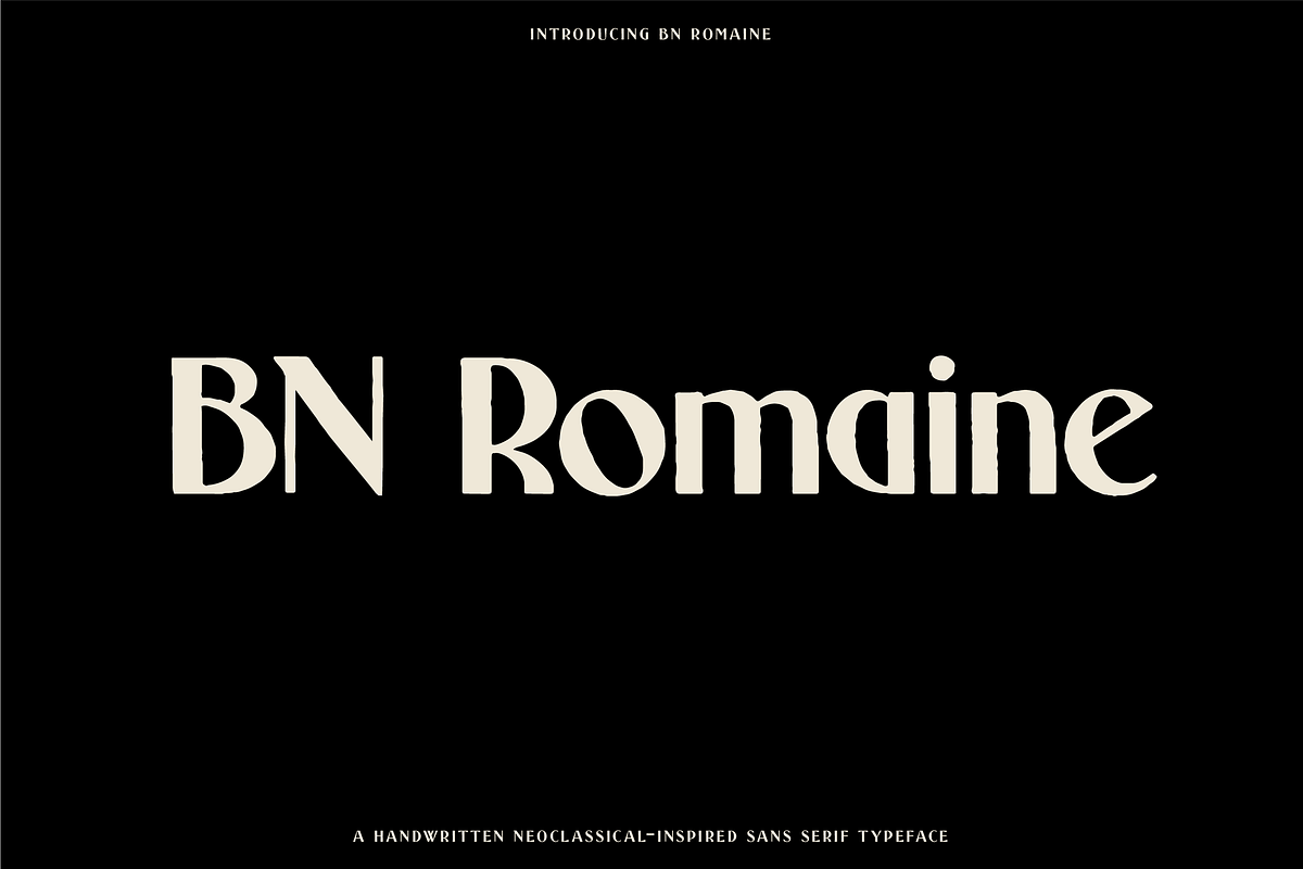 The Diverse Font Bundle, a Sans Serif Font by Bnick (Photo 14 of 34)