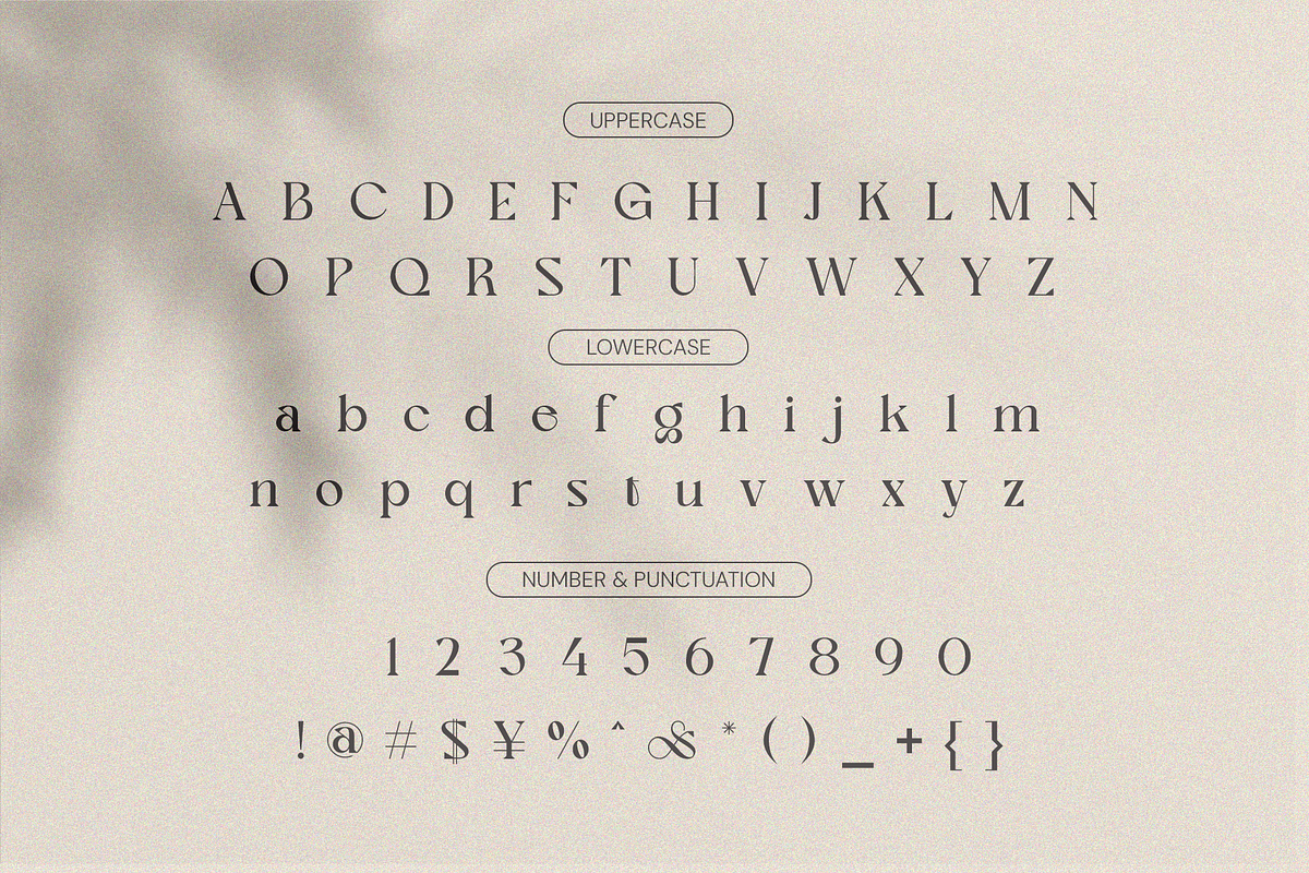 Nagishe Soinetha Moderen & Elegance, a Serif Font by BOOSH Studio (Photo 9 of 13)