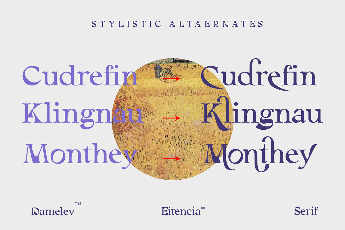 Eitencia, a Serif Font by Damelev (Photo 11 of 12)
