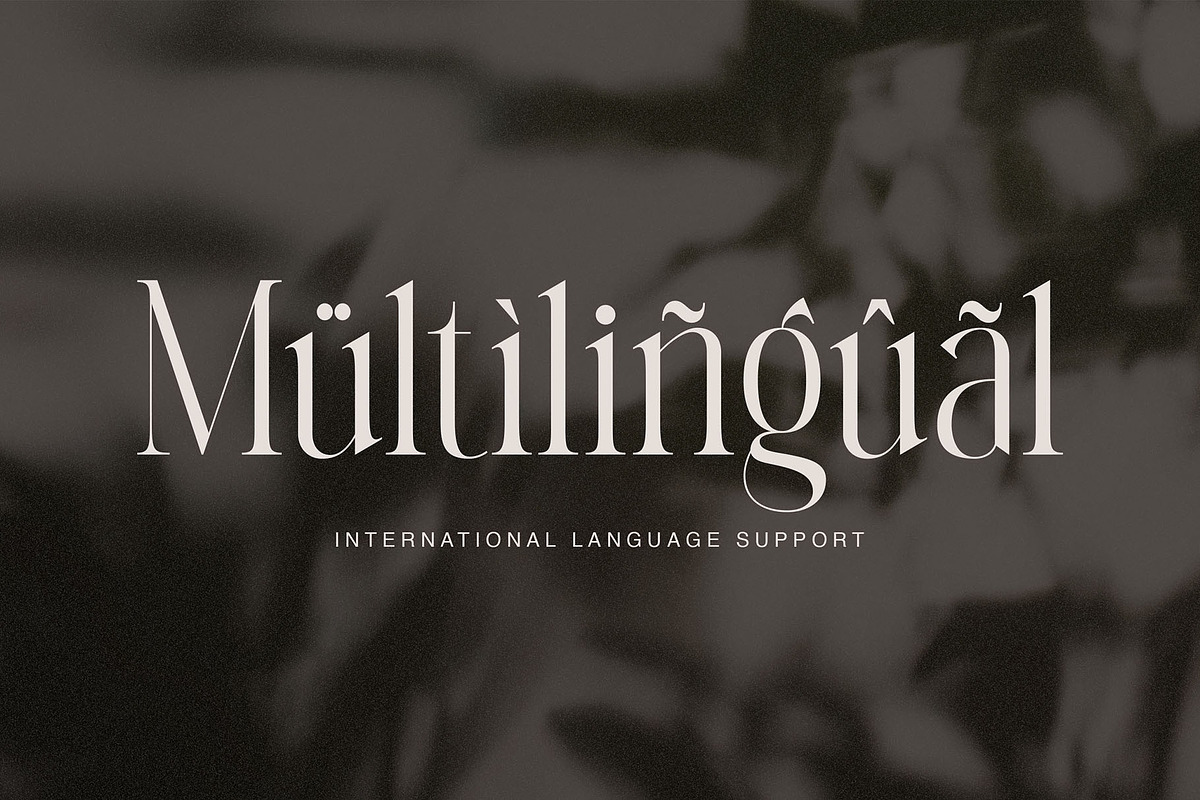 Avelire-modern ligature, a Serif Font by ToniStudio (Photo 10 of 11)
