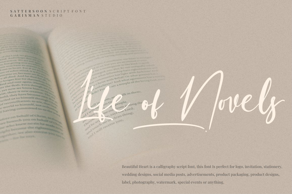 Sattersoon - Modern Script Font, a Script Font by Garisman Std (Photo 2 of 10)