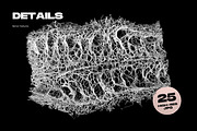 Nerve Textures, a Texture Graphic by ZUITag (Thumbnail 6 of 9)