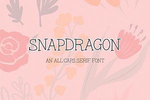 Snapdragon Serif Font