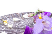 Purple Iris Styled Stock Collection, a Photo by Chalking Up Stock (Thumbnail 14 of 19)