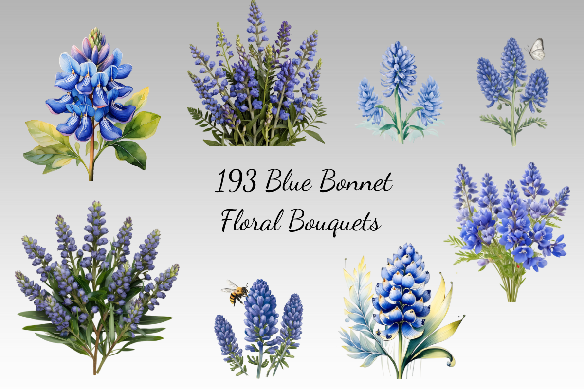 Blue Bonnet Flower Clipart Bundle, a Decorative Illustration by Dream Floral Clipart (Photo 2 of 9)