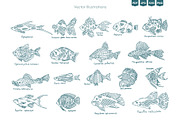 Seafood & Fish Vector Pack, an Animal Illustration by Ilia Design (Thumbnail 3 of 10)