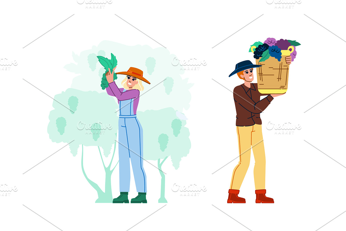 harvesting grapes vector, a Food Illustration by pikepicture