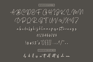 Ellouise - Handwriting Font