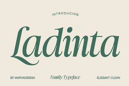 Ladinta - Family Serif Font, a Serif Font by Marvadesign