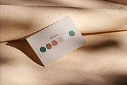 100 Color Palettes for Branding, a Palette Add-On by Ellen Carty Design (Thumbnail 9 of 11)