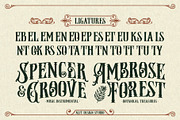 Jamesoon Victorian Typeface, a Serif Font by alit design (Thumbnail 11 of 17)