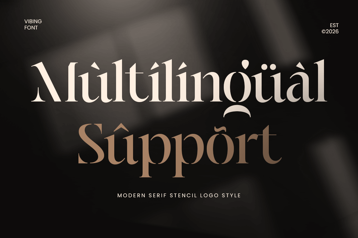 Vibing - Modern Serif Stencil Font, a Serif Font by Sensatype (Photo 12 of 12)