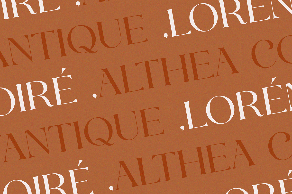 CHAREN || a modern display serif, a Serif Font by ToniStudio (Photo 8 of 9)