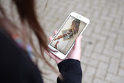 Fashion Instagram Stories V1, a Social Media Template by MinimalStudioCo (Thumbnail 5 of 8)