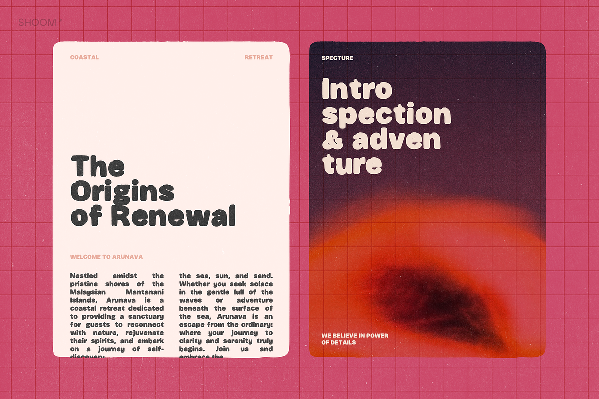 Bold Writer: Chunky Display Font, a Sans Serif Font by SHOOM HOUSE (Photo 9 of 16)