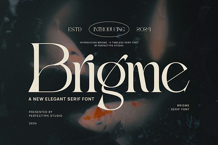 Brigme Elegant Serif Font Typeface, a Serif Font by Perfectype