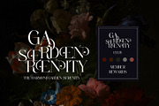 Belvind Modern Elegant Serif Font, a Serif Font by Alfinart (Thumbnail 6 of 11)