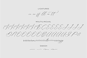 Liontinela Realise Chic Calligraphy, a Script Font by Storytype Studio (Thumbnail 14 of 15)