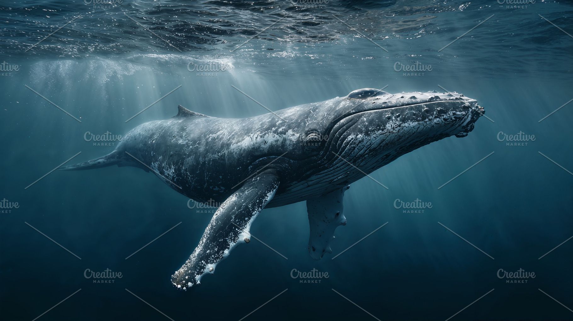 Humpback whale swims gracefully underwater in ocean depths, an Animal Photo by OSORIOartist