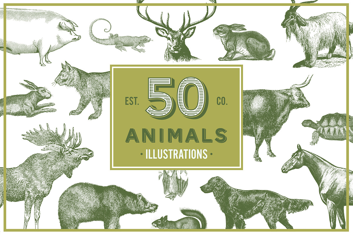 Vintage Illustrations - Free Update, an Animal Illustration by hypegraphic (Photo 4 of 12)