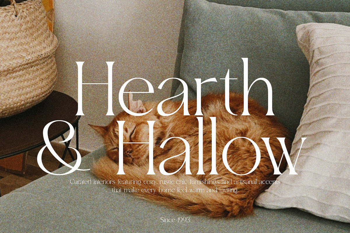 Sight - Elegant & Chic Serif, a Serif Font by Misha Sova (Photo 9 of 11)