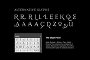 Pervinca Family, a Serif Font by Hederae Type Foundry (Thumbnail 14 of 18)