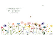 Spring Meadow Wildflower Collection, an Illustration by Kim Thoa Designs (Thumbnail 8 of 9)
