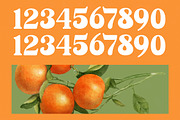 Sunday Ginger Vintage Serif, a Serif Font by timelesstype.co (Thumbnail 17 of 20)