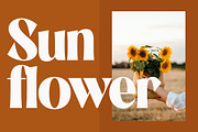 Negoka Modern Display Font, a Sans Serif Font by Storytype Studio (Thumbnail 9 of 18)