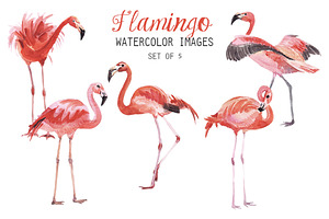Watercolor Falmingo Clipart, an Illustration by YesFoxy