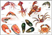 Fresh Sea Food: Watercolor Set, a Food Illustration by FineArt (Thumbnail 3 of 4)