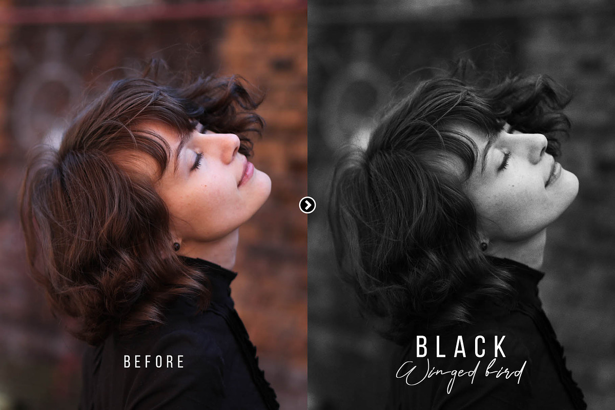 Black Winged Bird Photoshop Action, an Action Add-On by FilterAtelier (Photo 2 of 7)