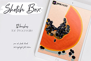 Sketch Box for Procreate, a Brush Add-On by Liquid Amethyst Art (Thumbnail 1 of 8)
