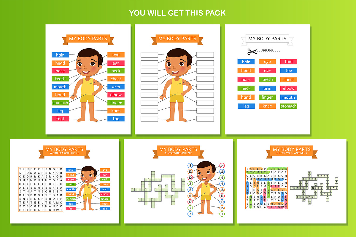 My Body Parts. Educational Flashcard, an Education Illustration by Valin Malin (Photo 2 of 7)
