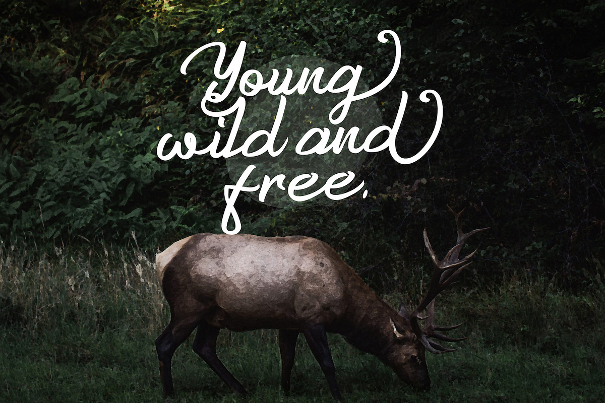 Anzim - Signature Script Font, a Script Font by StringLabs (Photo 5 of 11)