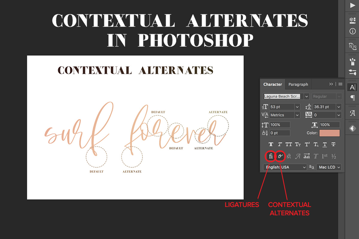 Laguna Beach Font Duo, a Serif Font by Jen Wagner Co (Photo 14 of 14)
