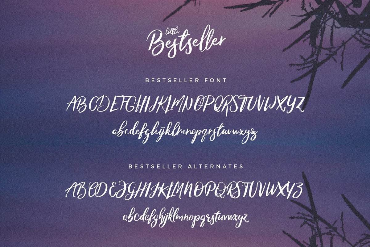 Typographer's Dream Box + 200 Logos, a Script Font by Mats-Peter Forss (Photo 90 of 130)