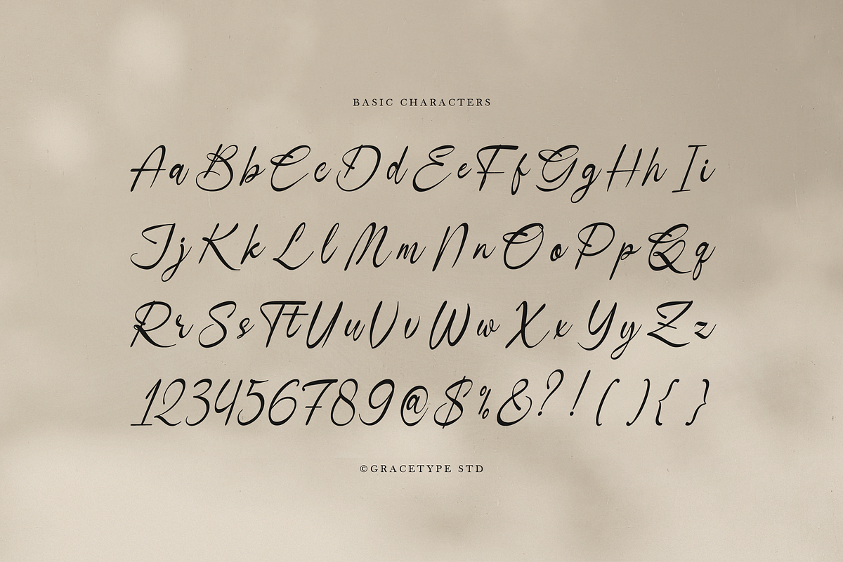 Danthalion Elegant Signature Script, a Script Font by gracetype_studio (Photo 10 of 12)