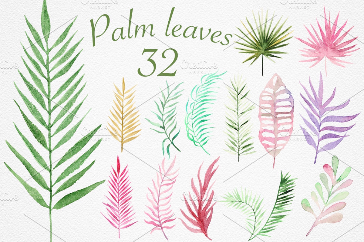 Palm leaves collection, a Decorative Illustration by IvanFet (Photo 2 of 6)