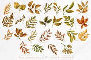 Fall sweet fall leaves illustration, a Seasonal Illustration by Yelloo Fish (Thumbnail 4 of 15)