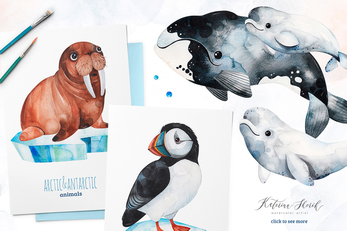 Arctic&Antarctic animals, an Animal Illustration by Kate_Rina (Photo 2 of 4)
