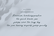 Campithen Font, a Handwritten Font by albert_kalingga (Thumbnail 3 of 5)