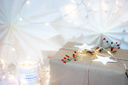 Christmas Berry styled stock images, a Holiday Photo by Chalking Up Stock (Thumbnail 11 of 13)