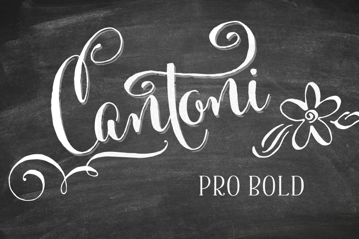 Cantoni Pro Bold Font