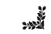 Floral Corner Ornament Vector Bundle, an Illustration by Designs_River (Thumbnail 42 of 51)