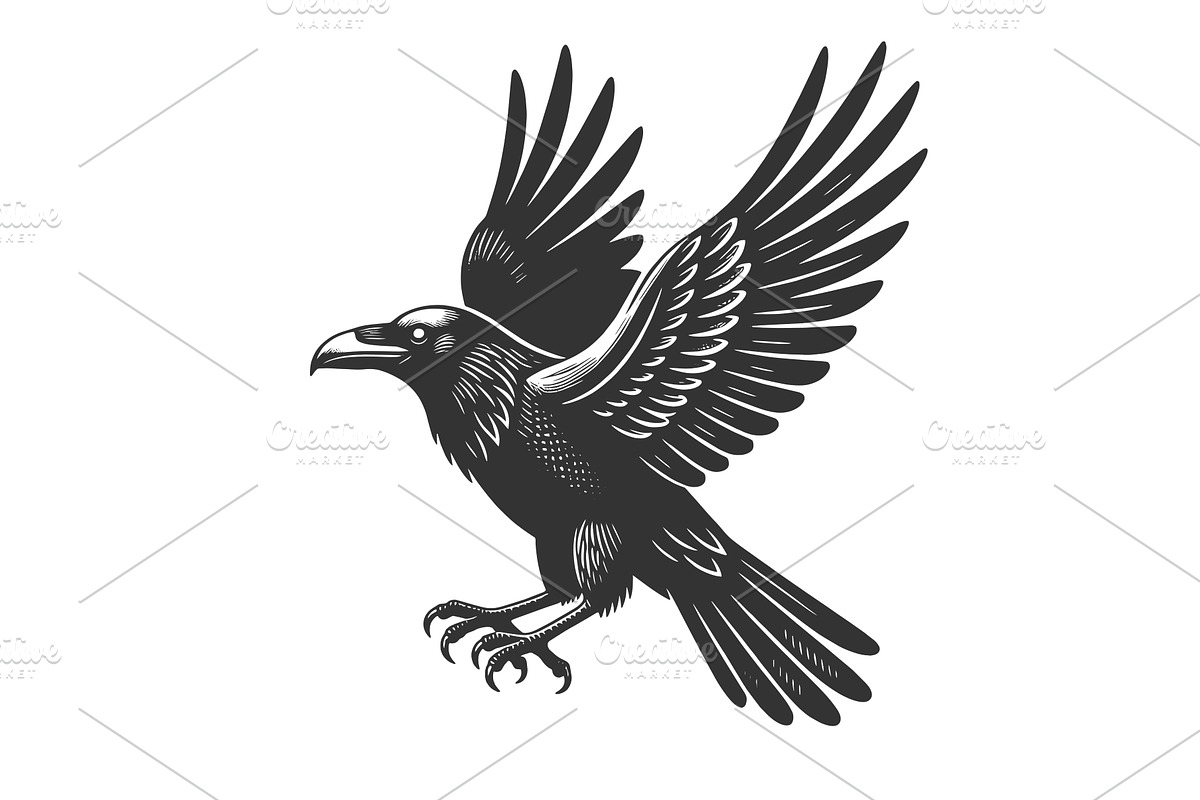 Flying Raven engraving sketch vector, an Animal Illustration by AlexArt